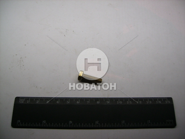 Болт ГАЗ М6х20 многоцелевой Волга,ГАЗ 3307,3309 (покупное ГАЗ) - фото 