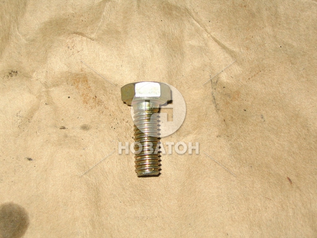 Болт М6х16 картера масляного ВАЗ, брызговиков КамАЗ (Белебей) - фото 