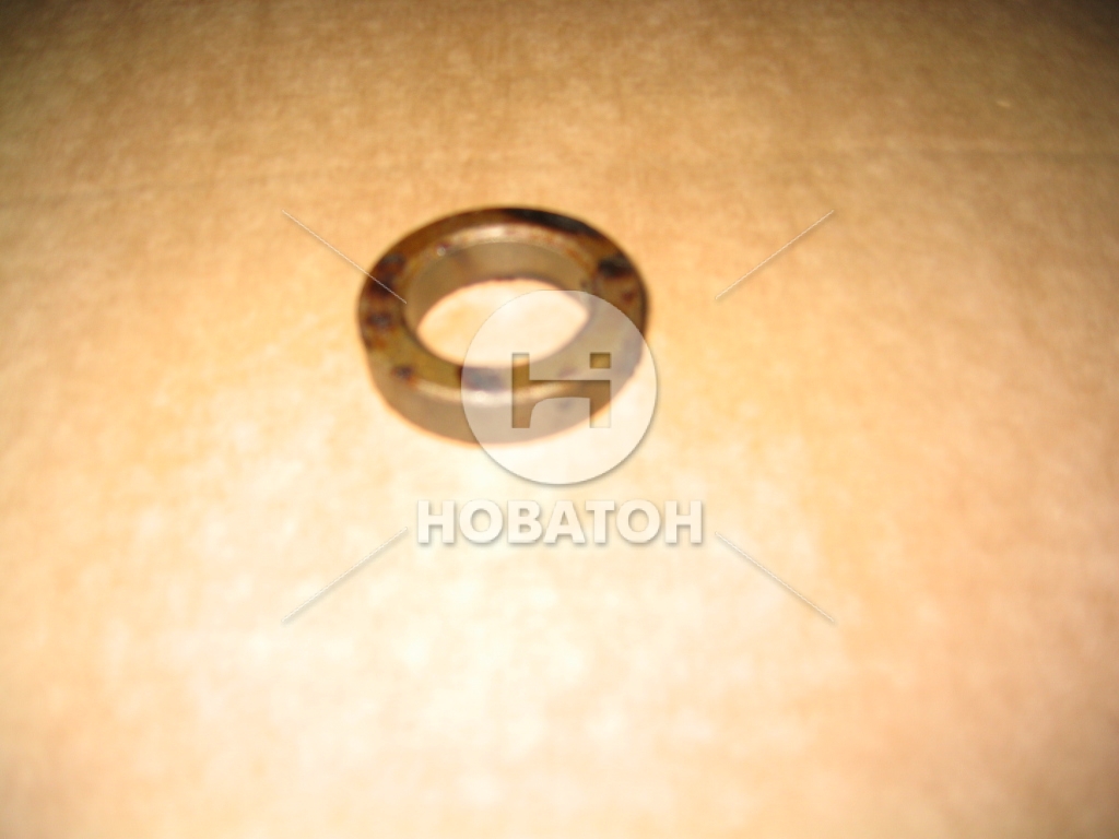 Кольцо упорное рычага нижнего ГАЗ 2410, 31029 (ГАЗ) - фото 
