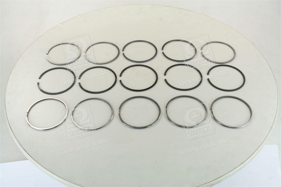 Кільця поршневі VAG 5 Cyl. 81,00 2,5 x 2,0 x 3,00 mm (вир-во SM) - фото 