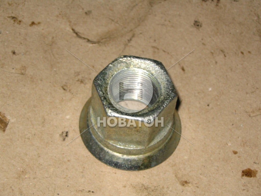 Гайка М22х1, 5 евроболта (вир-во БААЗ) - фото 