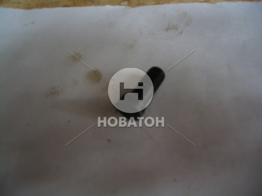 Болт ГАЗ дифференциала 24,31029,3110 (М10х1х28) (покупное ГАЗ) - фото 