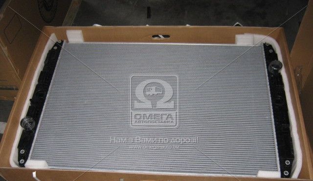 Радиатор охлаждения DAF 95XF 96- (TEMPEST) - фото 