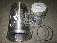 Гильзо-комплект Д245/Д260 ЕВРО-2 (D=42 мм ) (ГП+кольца) Поршнекомплект  (ММЗ) - фото 