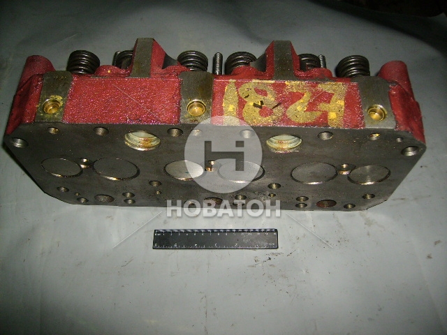 Головка блока двигателя Д 260 в сборе с клапанами (ММЗ) - фото 
