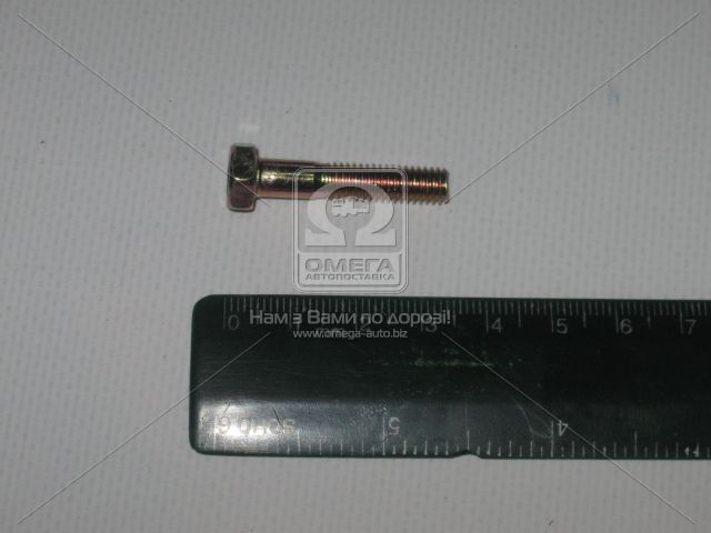 Болт ГАЗ М6х30 багатоціл. Волга, ГАЗ 3307,3309 (купл. ГАЗ) - фото 
