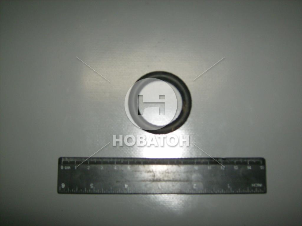 Кольцо уплотнительное выключения зажигания (БРТ) - фото 