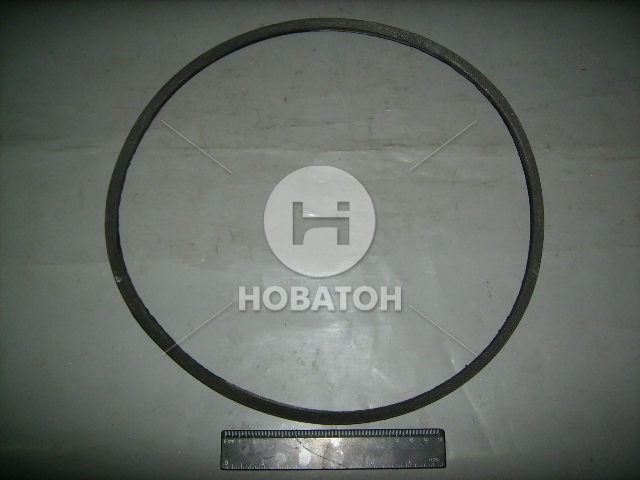 Ремень 8,5х8х1018 гладкий генератора Волга (БРТ) - фото 