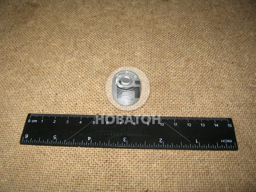 Пробка магнитная КАМАЗ (покупное КамАЗ) КамАз 864352 - фото 