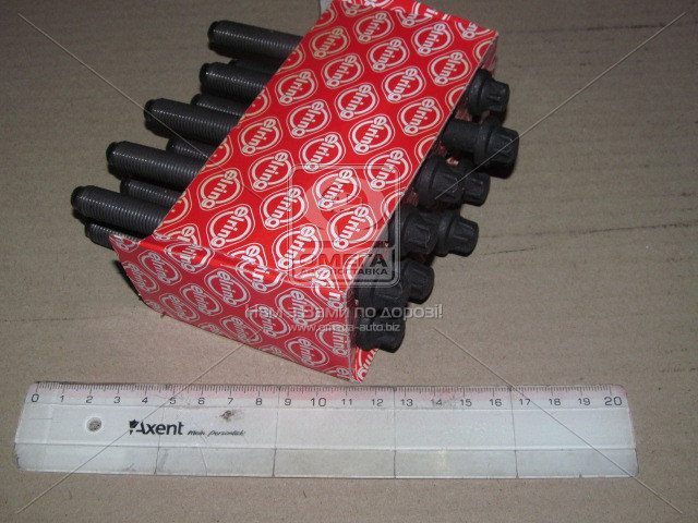 Комплект болтов головки цилидра RENAULT F9Q (Elring) - фото 