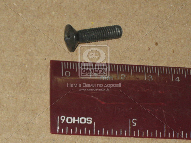 Винт 5х20 кожуха руля ВАЗ 2101-07 (Белебей) - фото 