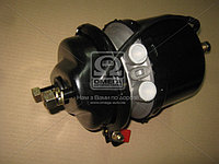 Камера Торм Тип 24/24 MERCEDES ACTROS,AXOR (RIDER) - фото 