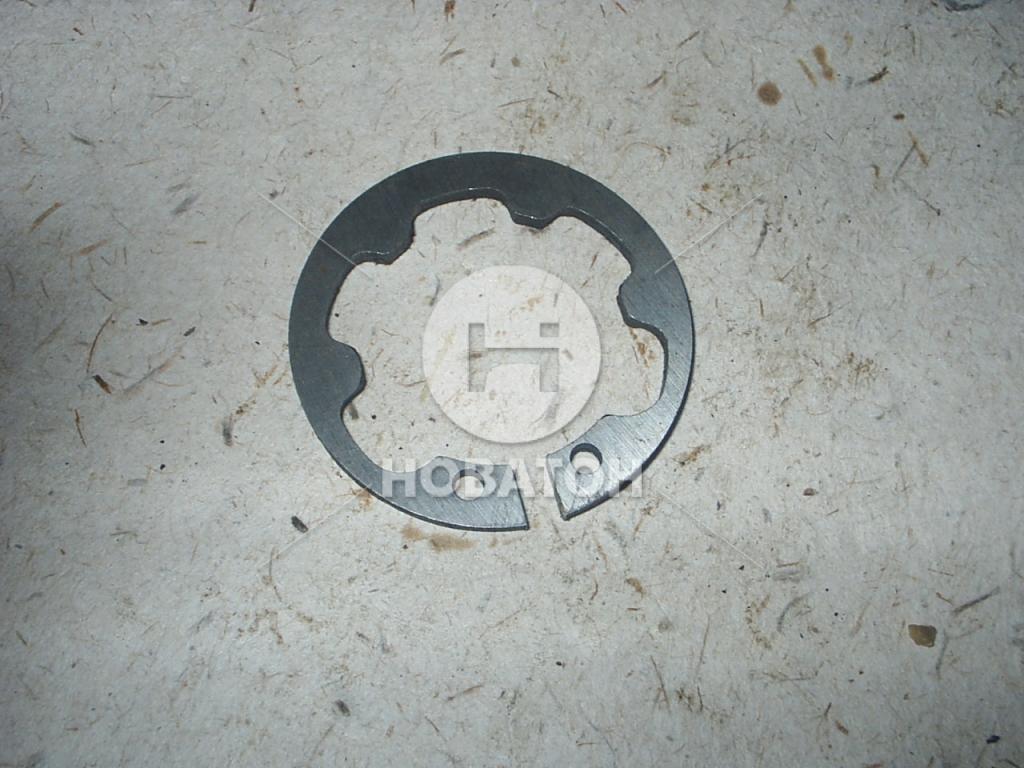 Кольцо стопорное ступицы муфты КПП 5-ст. ГАЗ 3110 (ГАЗ) - фото 