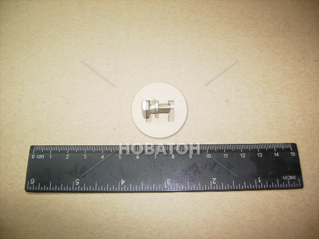 Болт М6х12 рабочего тормозного цилидра ВАЗ 2101-08 (с шайбой) (Белебей) - фото 