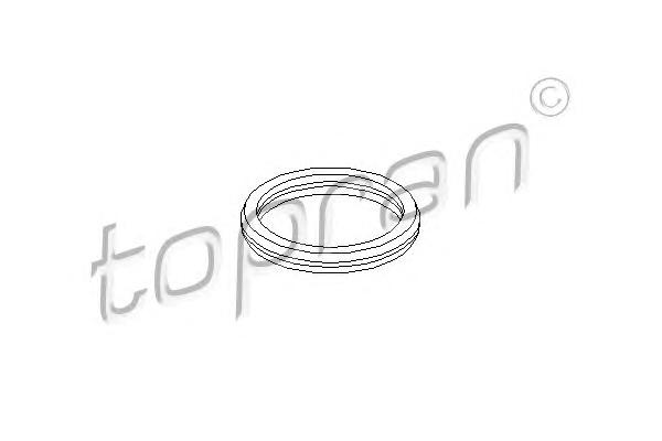 Прокладка термостату (TOPRAN) - фото 