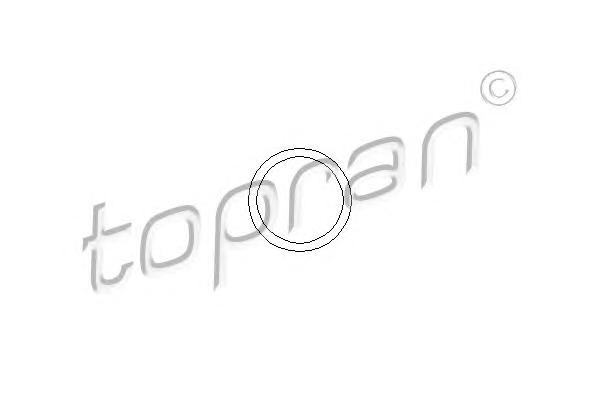 Прокладка патрубків термостата (ви-во TOPRAN) - фото 