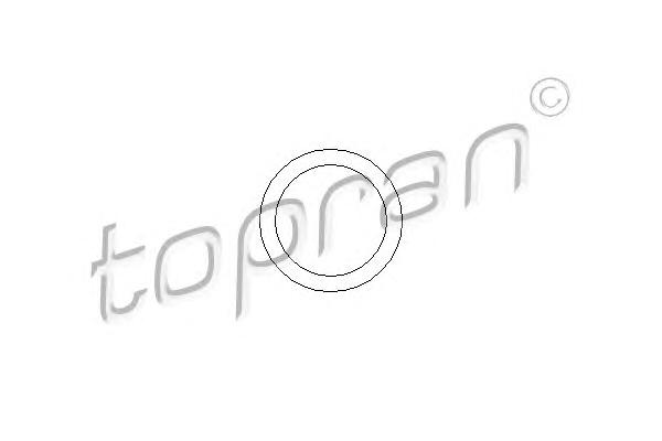 Прокладка вакуумного насоса (ви-во TOPRAN) - фото 