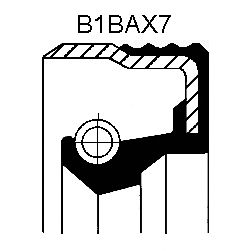 Сальник 20X31X7.3 NBR B1BAX7 (Corteco) - фото 